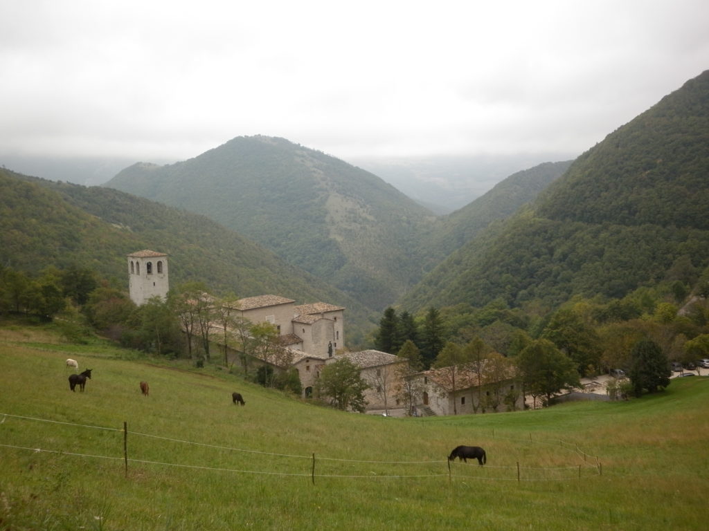 Monastero di Fonte Avellana PU
